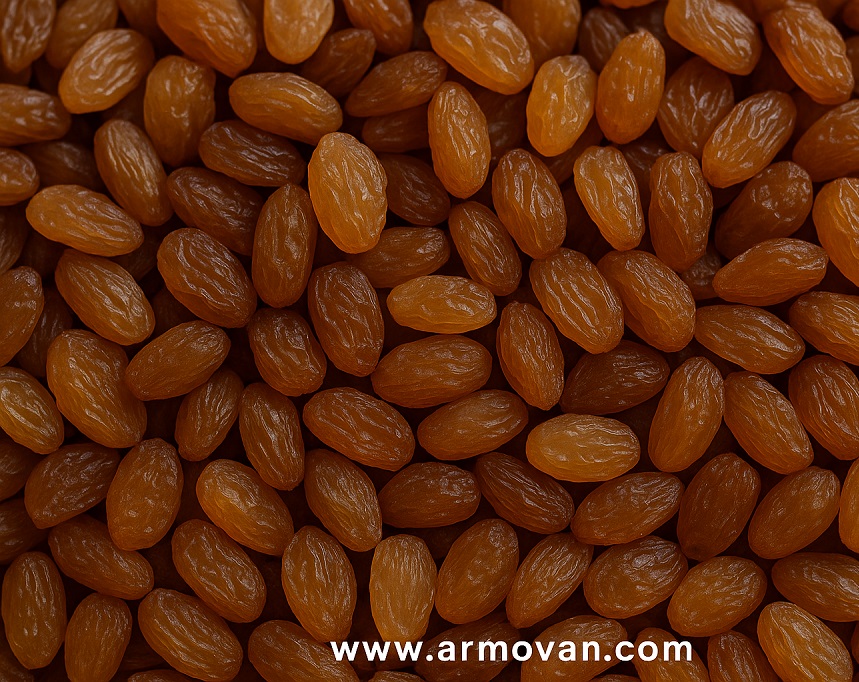 تصویر 1 از خرید کشمش طلایی در تبریز + فروش ویژه